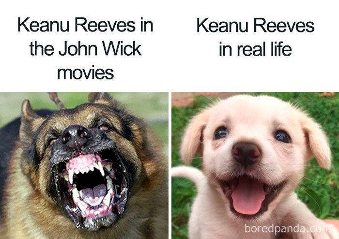 Funny-Keanu-Reeves-Memes