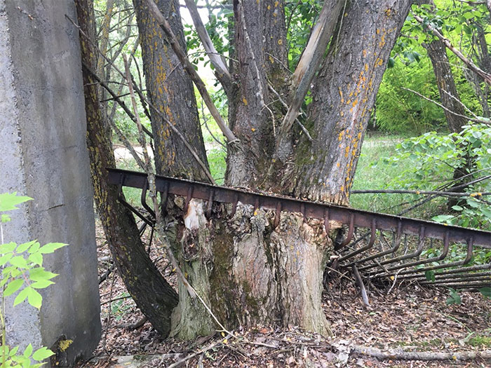 Pripyat - The Ghost City Crowned By Sweet Silence And Beautiful Wild Nature