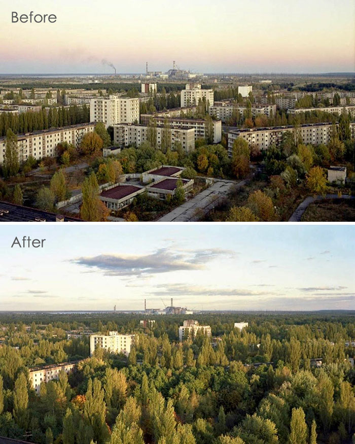 Nature Taking Over Pripyat. What Is The Cost Of Lies?