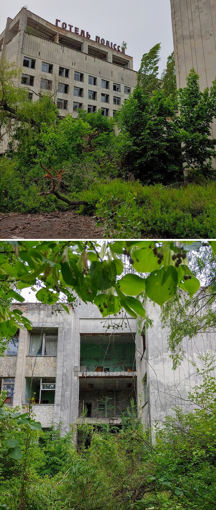Ghost Town Where Nature Took Over