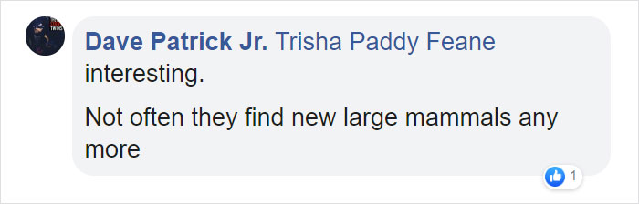 Scientists Discovered A New Cat-Fox Species Which Was Previously Believed To Be A Myth