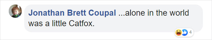 Scientists Discovered A New Cat-Fox Species Which Was Previously Believed To Be A Myth