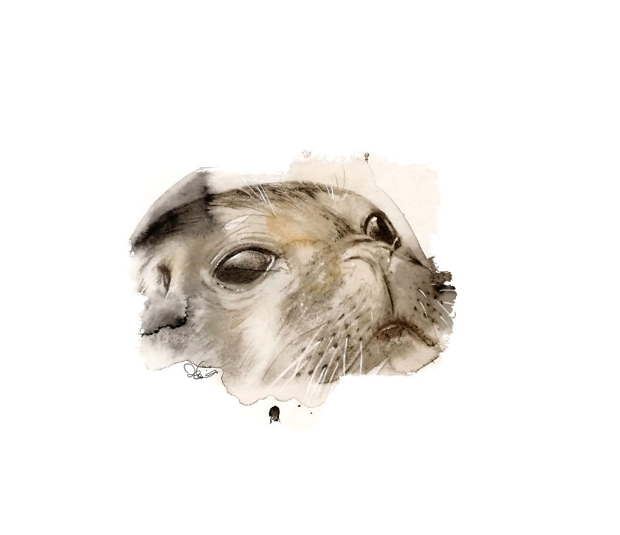 I Started Drawing Animals For First Time In Years And Learned A New Art Style Along The Way I Started Drawing Animals For First Time In Years And Learned A New Art Style Along The Way