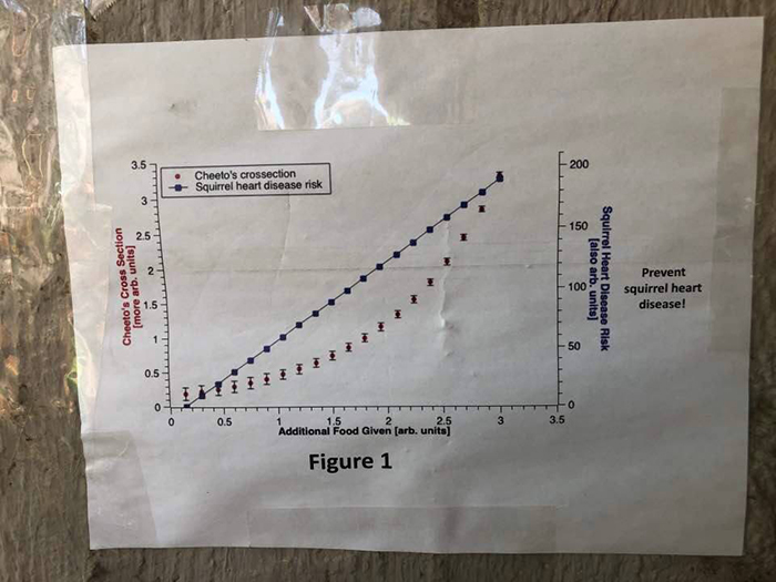 Students Come Up With An Ingenious And Funny Graph To Stop People From Feeding Their Overweight Campus Cat Students Come Up With An Ingenious And Funny Graph To Stop People From Feeding Their Overweight Campus Cat