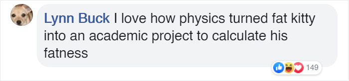 Students Come Up With An Ingenious And Funny Graph To Stop People From Feeding Their Overweight Campus Cat