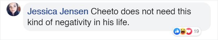 Students Come Up With An Ingenious And Funny Graph To Stop People From Feeding Their Overweight Campus Cat