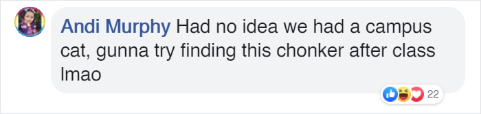 Students Come Up With An Ingenious And Funny Graph To Stop People From Feeding Their Overweight Campus Cat