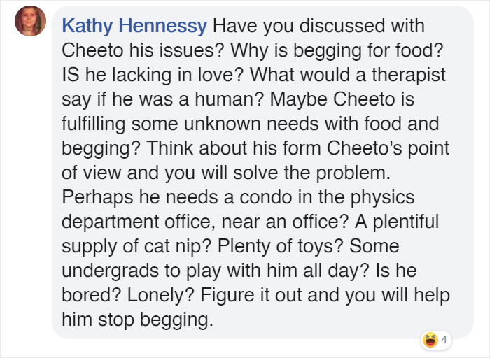 Students Come Up With An Ingenious And Funny Graph To Stop People From Feeding Their Overweight Campus Cat