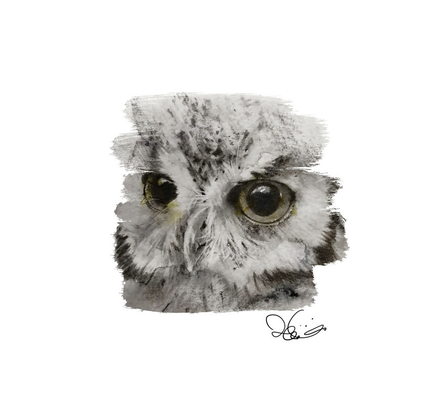 I Started Drawing Animals For First Time In Years And Learned A New Art Style Along The Way I Started Drawing Animals For First Time In Years And Learned A New Art Style Along The Way