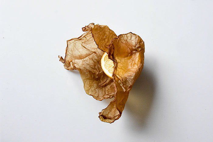 Scientists Create Zero-Waste Packaging That Composts Just Like Vegetables