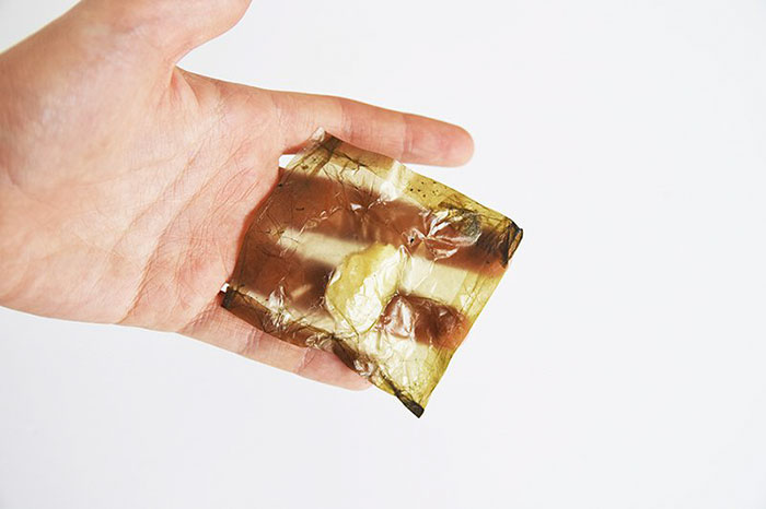 Scientists Create Zero-Waste Packaging That Composts Just Like Vegetables Scientists Create Zero-Waste Packaging That Composts Just Like Vegetables