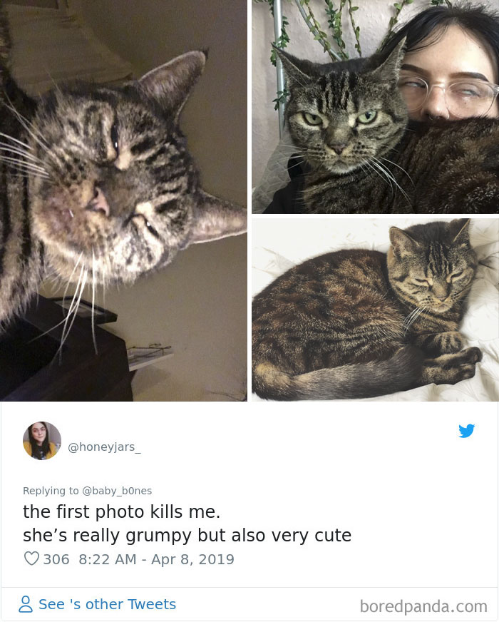 Least-Flattering-Pets