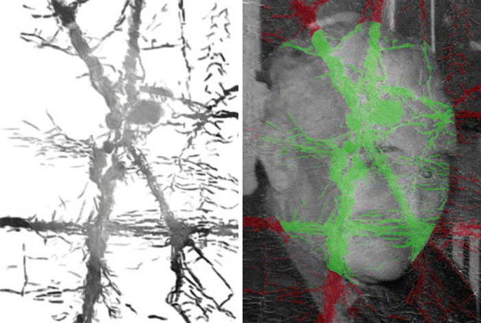 I Restore ‘Unrestorable’ Photos, And Here's The Result (10 Pics) I Restore ‘Unrestorable’ Photos, And Here's The Result (10 Pics)