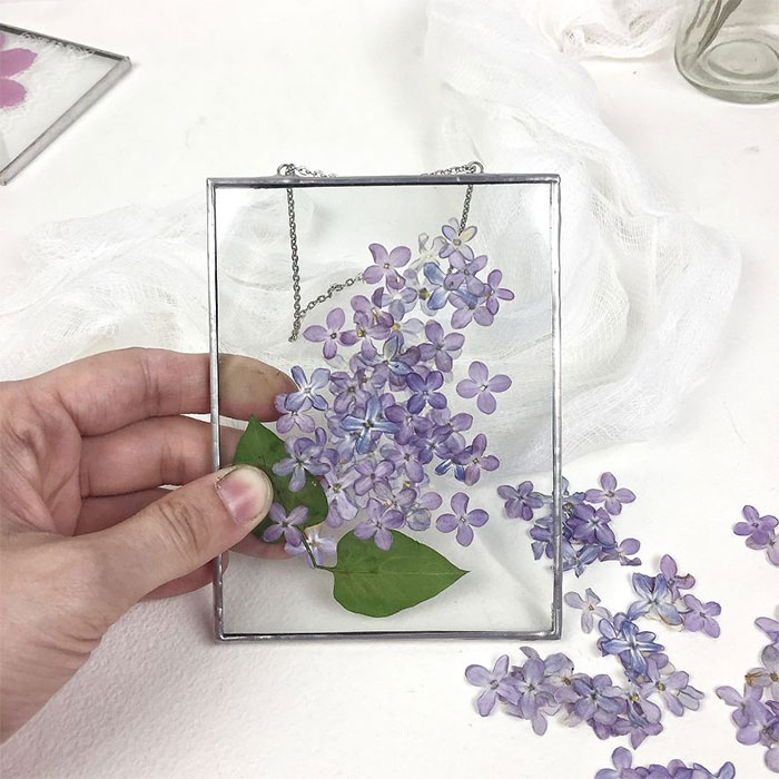 I Quit My Job To Follow My Passion Of Delicate Framed Herbariums