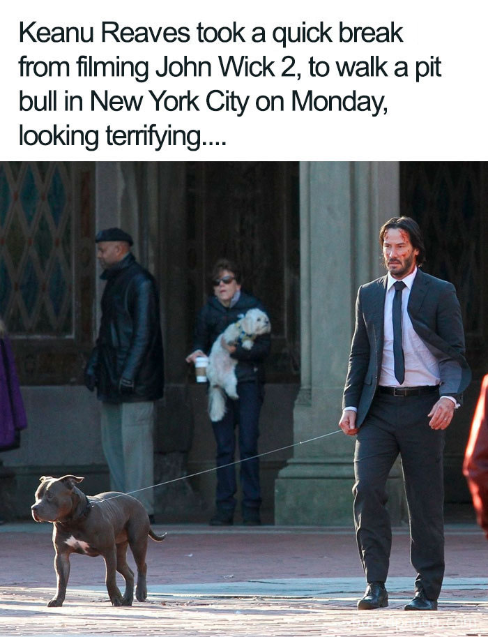 Postitive-Things-Keanu-Reeves