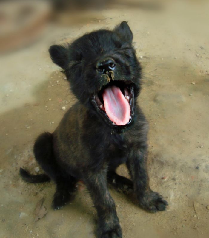 Can I Go Back To Sleep?