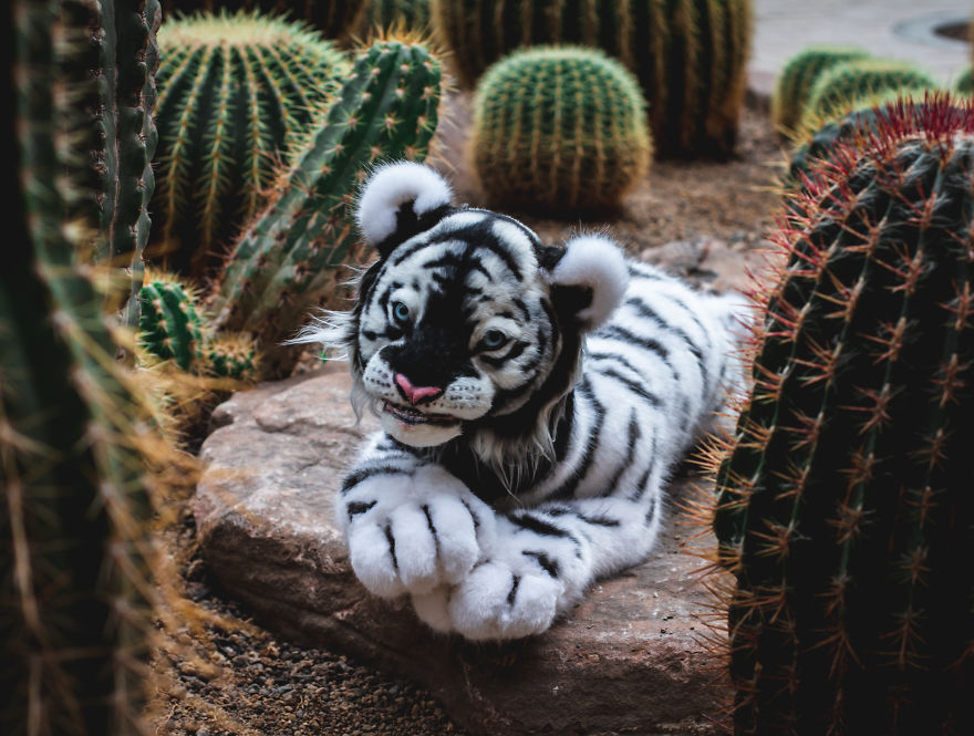 Xxl Artist Toys Handstiched.