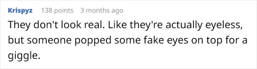 Possibly Derpiest Animal Alive Looks Like An 8-Year-Old's Drawing Came To Life Possibly Derpiest Animal Alive Looks Like An 8-Year-Old's Drawing Came To Life
