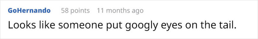 Possibly Derpiest Animal Alive Looks Like An 8-Year-Old's Drawing Came To Life Possibly Derpiest Animal Alive Looks Like An 8-Year-Old's Drawing Came To Life