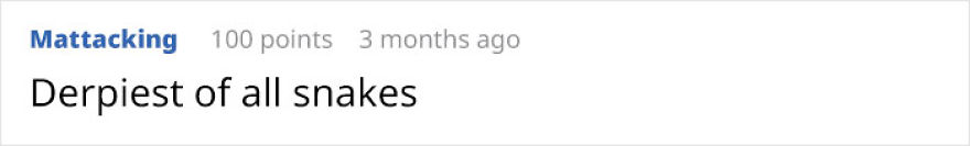 Possibly Derpiest Animal Alive Looks Like An 8-Year-Old's Drawing Came To Life