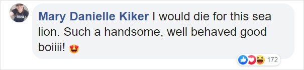Giant Sea Lion Enters A Fish Market And Asks For Snacks Giant Sea Lion Enters A Fish Market And Asks For Snacks