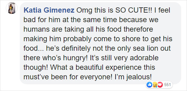 Giant Sea Lion Enters A Fish Market And Asks For Snacks Giant Sea Lion Enters A Fish Market And Asks For Snacks