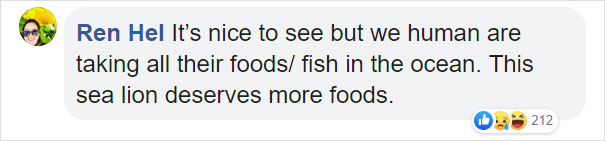 Giant Sea Lion Enters A Fish Market And Asks For Snacks Giant Sea Lion Enters A Fish Market And Asks For Snacks