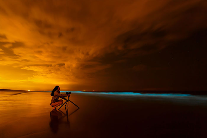 My 10 Fairy-Like Pics Show The Presence Of Sea Sparkle On The Dutch Coast