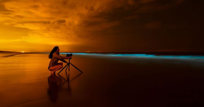 My 10 Fairy-Like Pics Show The Presence Of Sea Sparkle On The Dutch Coast