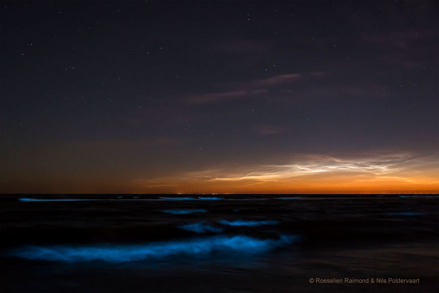 My 10 Fairy-Like Pics Show The Presence Of Sea Sparkle On The Dutch Coast My 10 Fairy-Like Pics Show The Presence Of Sea Sparkle On The Dutch Coast