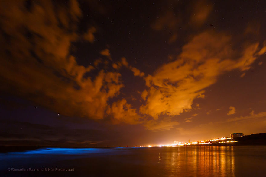 My 10 Fairy-Like Pics Show The Presence Of Sea Sparkle On The Dutch Coast My 10 Fairy-Like Pics Show The Presence Of Sea Sparkle On The Dutch Coast