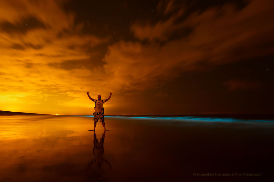 My 10 Fairy-Like Pics Show The Presence Of Sea Sparkle On The Dutch Coast