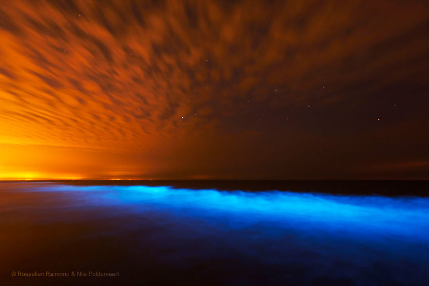 My 10 Fairy-Like Pics Show The Presence Of Sea Sparkle On The Dutch Coast My 10 Fairy-Like Pics Show The Presence Of Sea Sparkle On The Dutch Coast