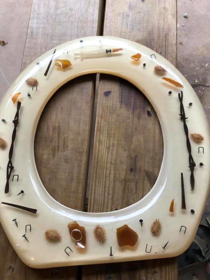 Weird Goodwill Find!!! Toilet Seat Epoxied With All This Inside