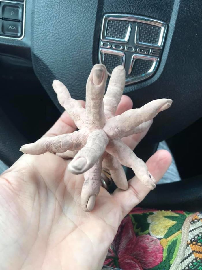 Rubber Fingers Had To Come Home With Me