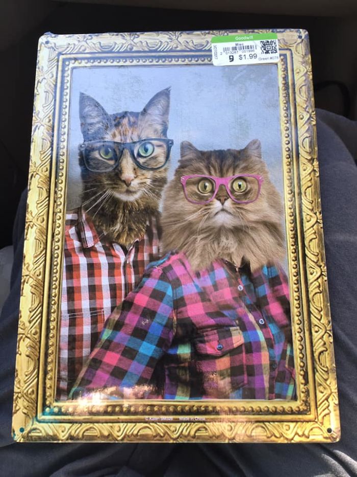 Found At Goodwill A While Back. It’s Hanging Up In My Bathroom Now