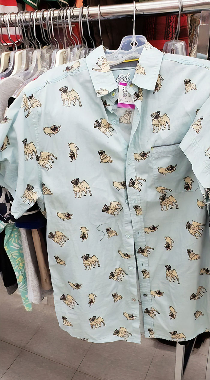 I Was Told Not To Bring This Home