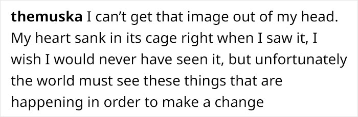 Jason Momoa’s Message To Two Fishermen Who Cut Off Shark’s Tail And Released It Back To The Sea Goes Viral Jason Momoa’s Message To Two Fishermen Who Cut Off Shark’s Tail And Released It Back To The Sea Goes Viral