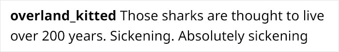 Jason Momoa’s Message To Two Fishermen Who Cut Off Shark’s Tail And Released It Back To The Sea Goes Viral Jason Momoa’s Message To Two Fishermen Who Cut Off Shark’s Tail And Released It Back To The Sea Goes Viral