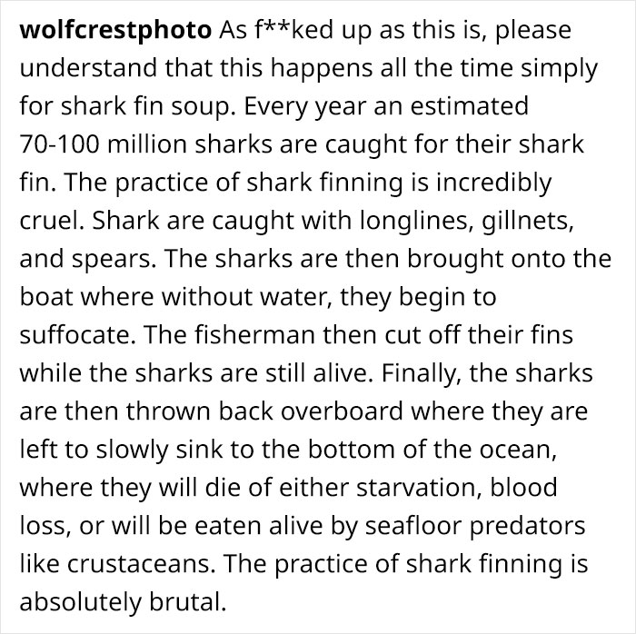 Jason Momoa&rsquo;s Message To Two Fishermen Who Cut Off Shark&rsquo;s Tail And Released It Back To The Sea Goes Viral