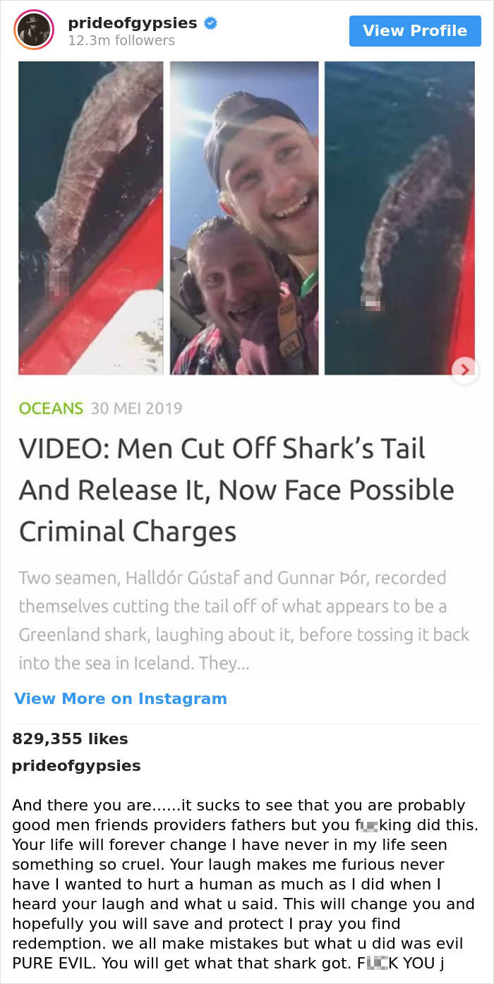 Jason Momoa’s Message To Two Fishermen Who Cut Off Shark’s Tail And Released It Back To The Sea Goes Viral Jason Momoa’s Message To Two Fishermen Who Cut Off Shark’s Tail And Released It Back To The Sea Goes Viral