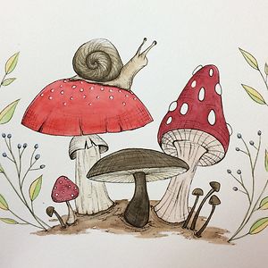 sallyhassenfeld avatar