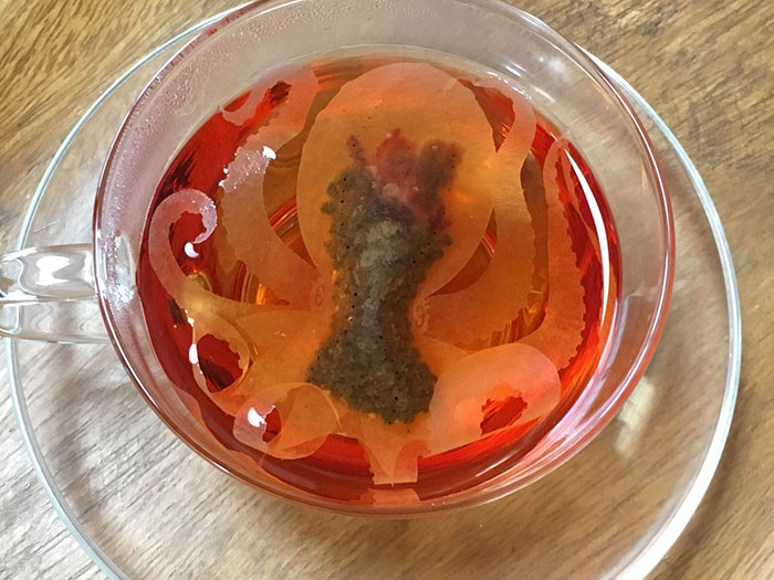 Japanese Company Creates Sea Creature Teabags That “Come Alive” Inside Your Cup Japanese Company Creates Sea Creature Teabags That “Come Alive” Inside Your Cup