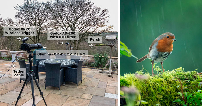 After Getting Criticized For Bird Photos I Started Setting Up Photo Stages For Them (16 Pics)