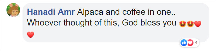 Starbucks Releases New Adorable Animal-Inspired Merchandise Collection