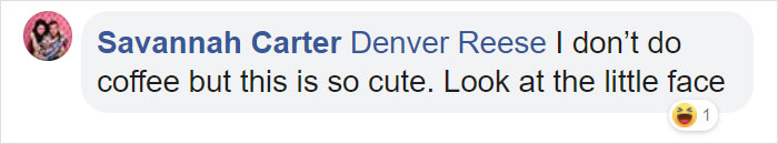 Starbucks Releases New Adorable Animal-Inspired Merchandise Collection