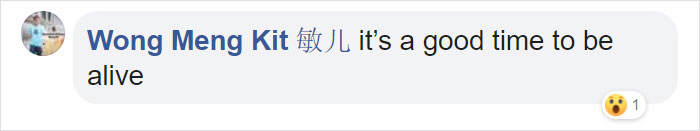 Starbucks Releases New Adorable Animal-Inspired Merchandise Collection