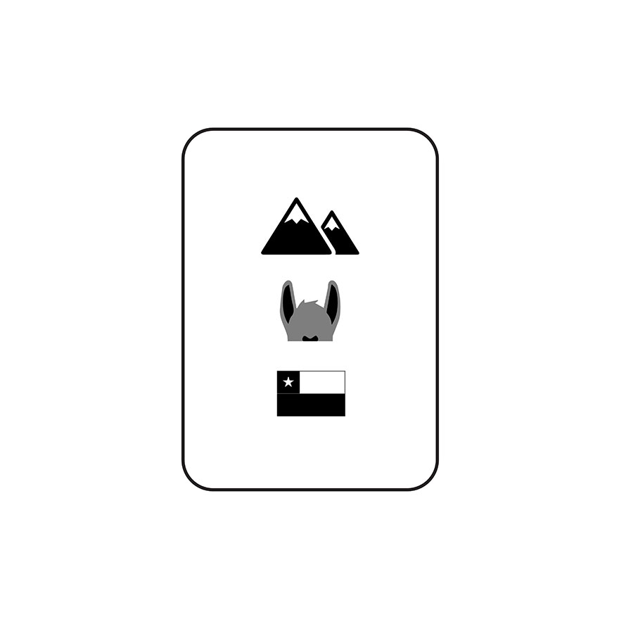 Can You Name An Animal? Level – Medium