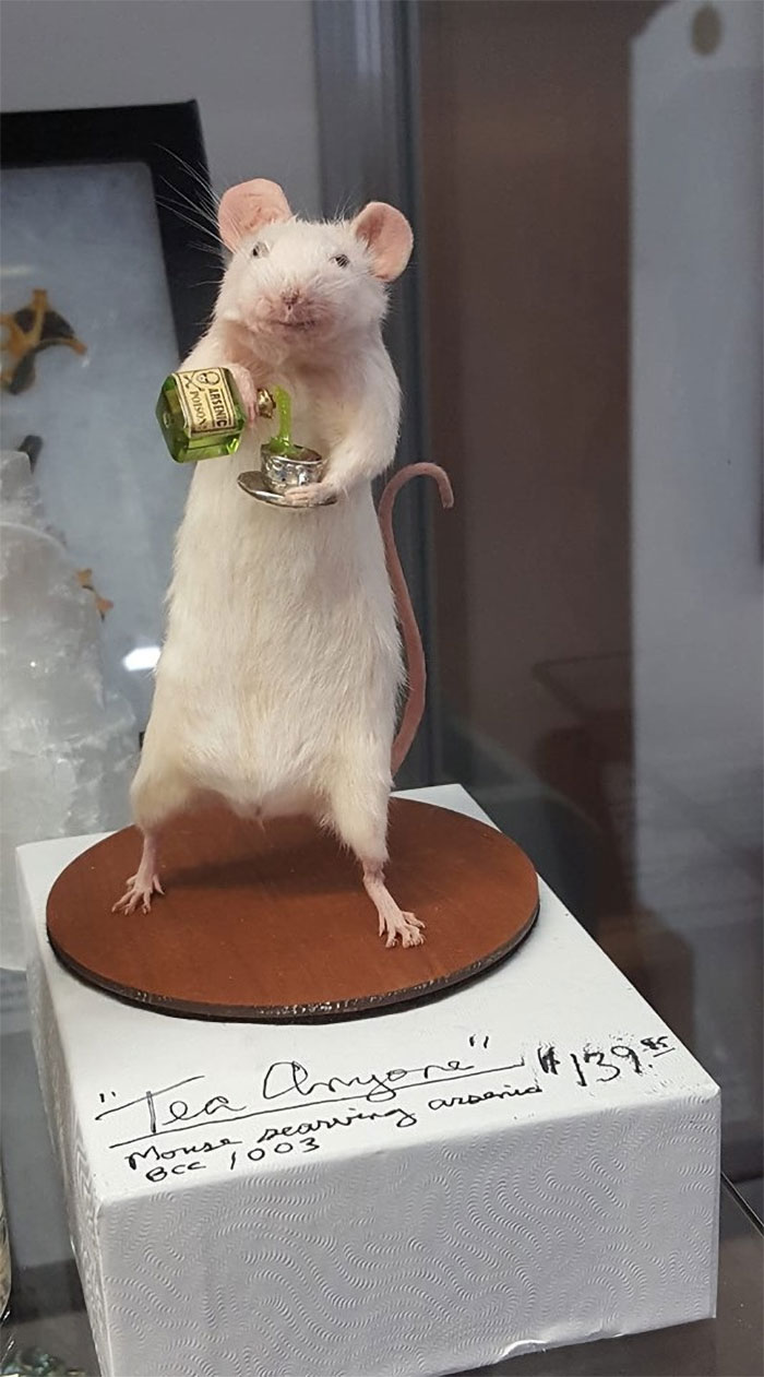 Antique Shopping In Delaware, Ohio