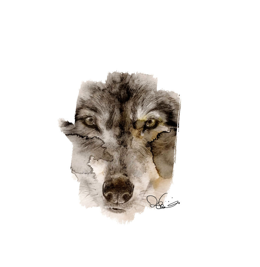 I Started Drawing Animals For First Time In Years And Learned A New Art Style Along The Way